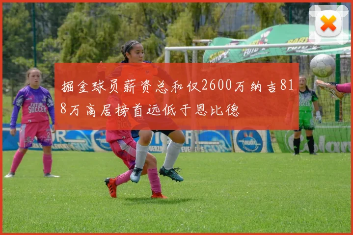 掘金球员薪资总和仅2600万纳吉818万高居榜首远低于恩比德