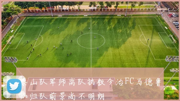泰山队军师离队执教今治FC马德鲁加归队前景尚不明朗